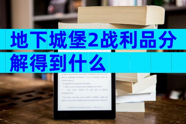 地下城堡2战利品分解得到什么