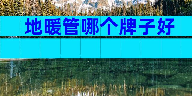 地暖管哪个牌子好