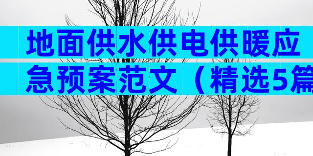 地面供水供电供暖应急预案范文（精选5篇）