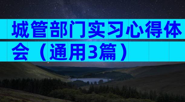 城管部门实习心得体会（通用3篇）