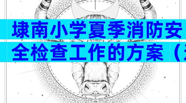 埭南小学夏季消防安全检查工作的方案（通用5篇）