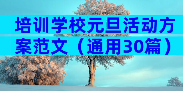 培训学校元旦活动方案范文（通用30篇）
