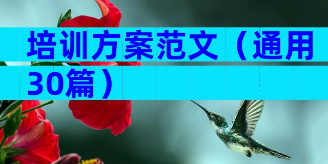 培训方案范文（通用30篇）