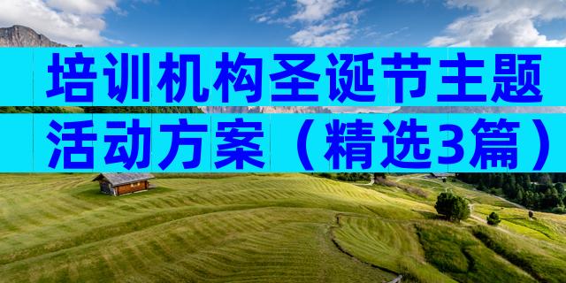 培训机构圣诞节主题活动方案（精选3篇）