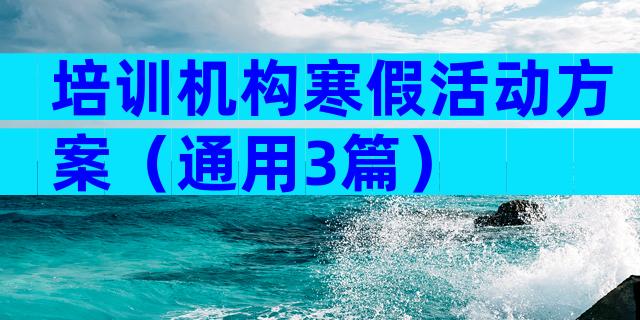 培训机构寒假活动方案（通用3篇）