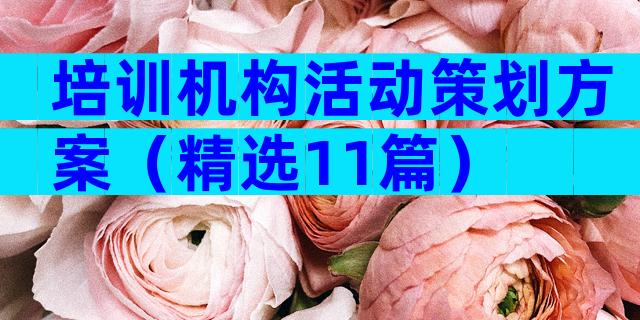 培训机构活动策划方案（精选11篇）