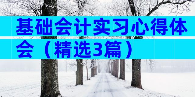基础会计实习心得体会（精选3篇）