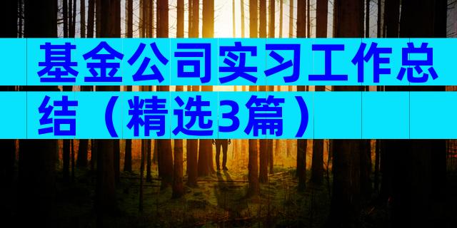 基金公司实习工作总结（精选3篇）