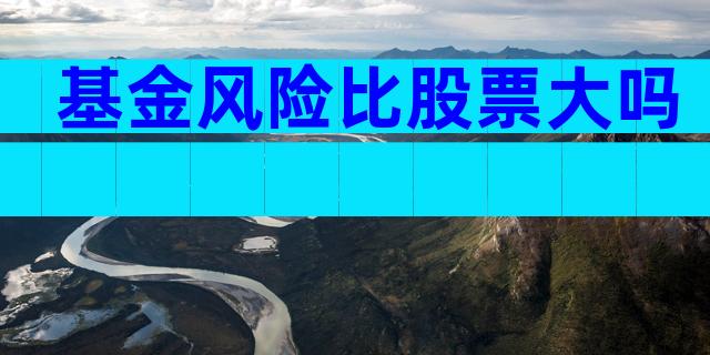 基金风险比股票大吗