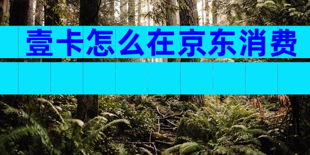 壹卡怎么在京东消费