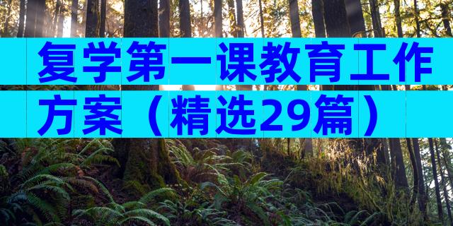 复学第一课教育工作方案（精选29篇）