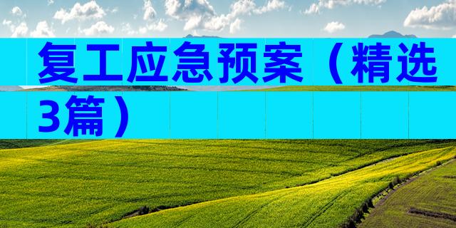 复工应急预案（精选3篇）