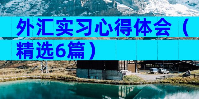 外汇实习心得体会（精选6篇）