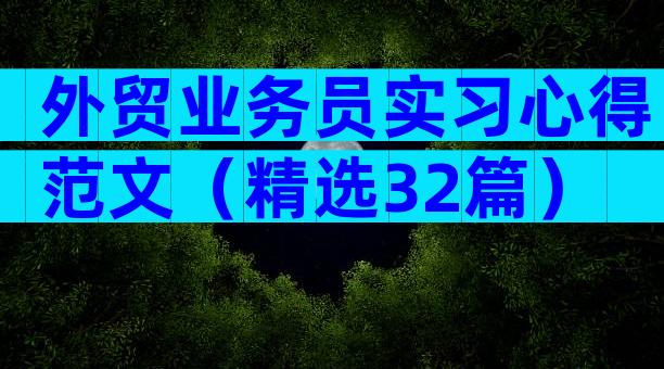 外贸业务员实习心得范文（精选32篇）