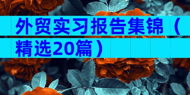 外贸实习报告集锦（精选20篇）