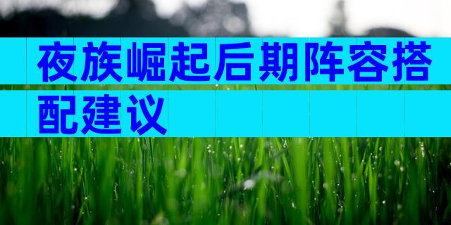 夜族崛起后期阵容搭配建议