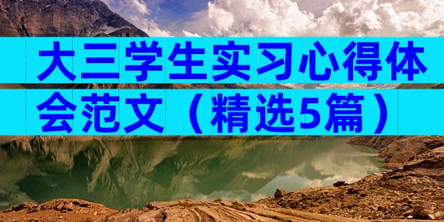 大三学生实习心得体会范文（精选5篇）