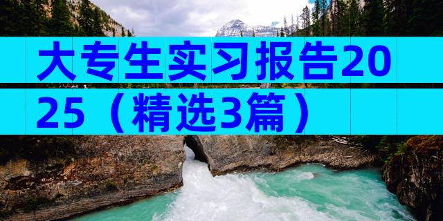大专生实习报告2025（精选3篇）