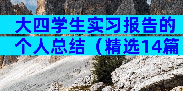 大四学生实习报告的个人总结（精选14篇）