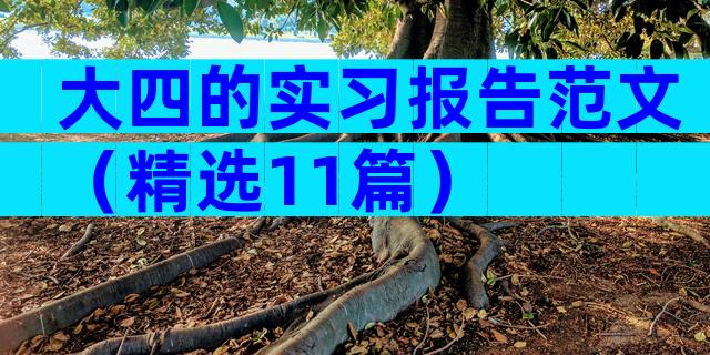 大四的实习报告范文（精选11篇）