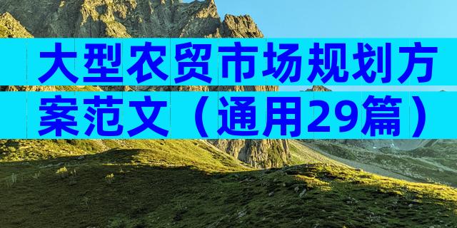 大型农贸市场规划方案范文（通用29篇）