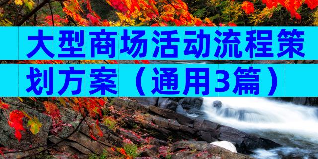 大型商场活动流程策划方案（通用3篇）
