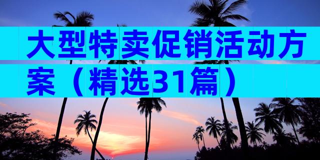 大型特卖促销活动方案（精选31篇）