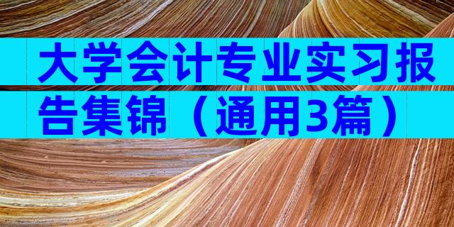 大学会计专业实习报告集锦（通用3篇）