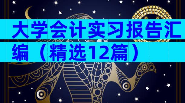 大学会计实习报告汇编（精选12篇）