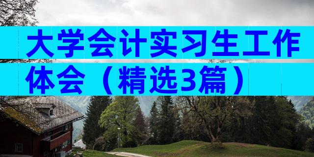 大学会计实习生工作体会（精选3篇）