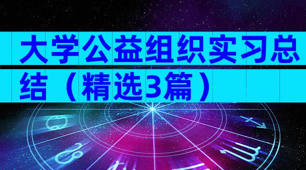 大学公益组织实习总结（精选3篇）