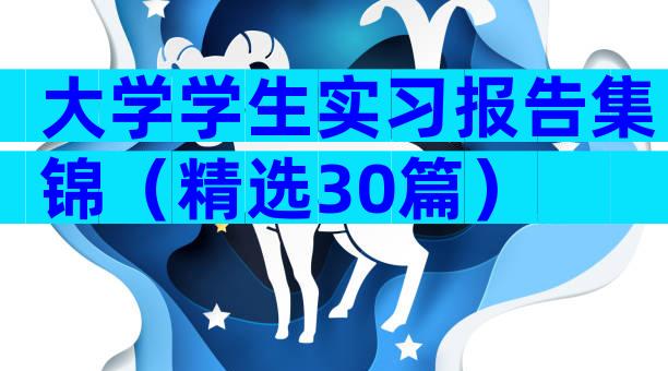 大学学生实习报告集锦（精选30篇）