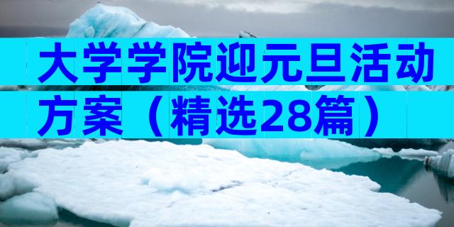 大学学院迎元旦活动方案（精选28篇）