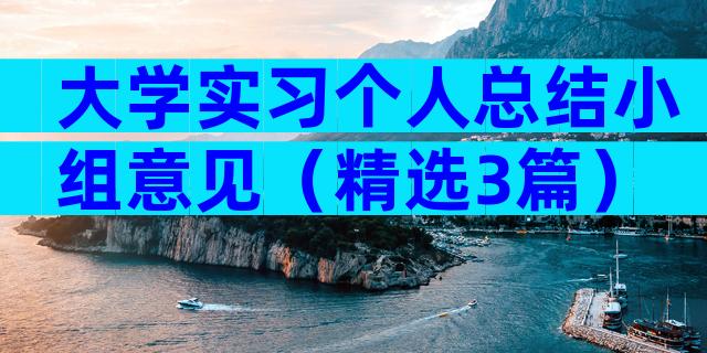 大学实习个人总结小组意见（精选3篇）