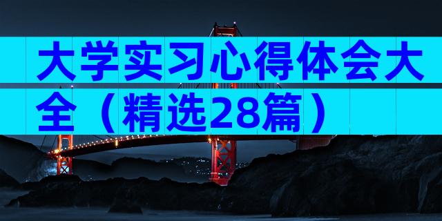 大学实习心得体会大全（精选28篇）