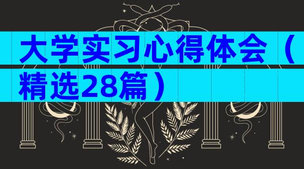 大学实习心得体会（精选28篇）