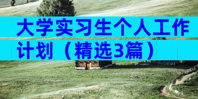 大学实习生个人工作计划（精选3篇）