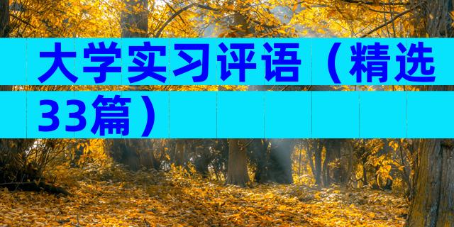 大学实习评语（精选33篇）
