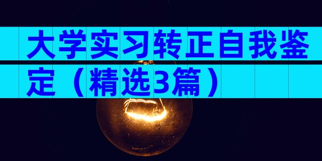 大学实习转正自我鉴定（精选3篇）