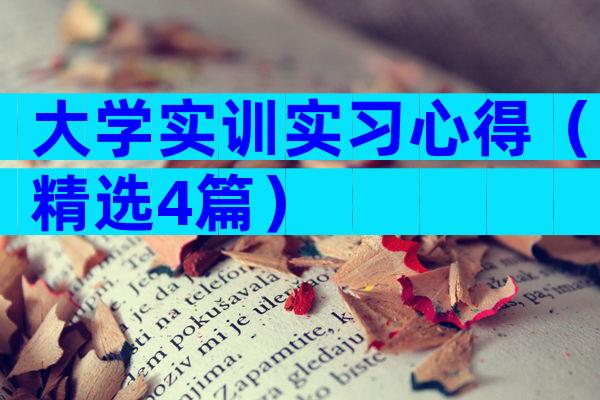 大学实训实习心得（精选4篇）