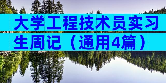 大学工程技术员实习生周记（通用4篇）