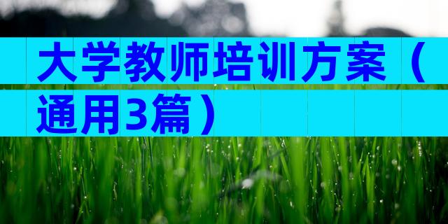 大学教师培训方案（通用3篇）