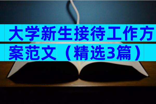 大学新生接待工作方案范文（精选3篇）