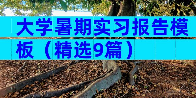大学暑期实习报告模板（精选9篇）