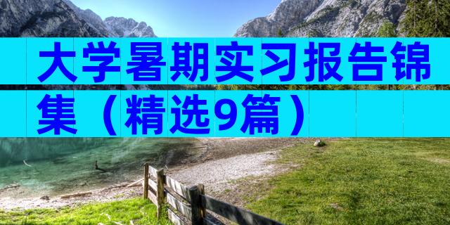 大学暑期实习报告锦集（精选9篇）