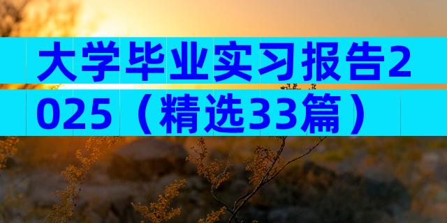 大学毕业实习报告2025（精选33篇）