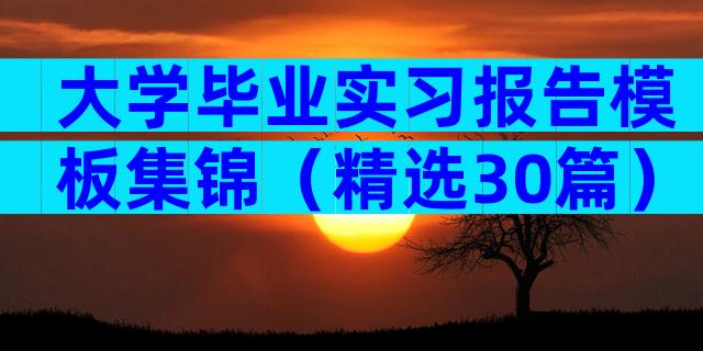 大学毕业实习报告模板集锦（精选30篇）