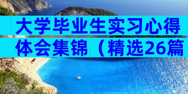 大学毕业生实习心得体会集锦（精选26篇）