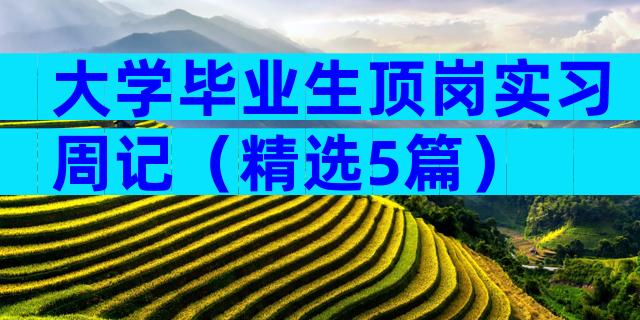 大学毕业生顶岗实习周记（精选5篇）