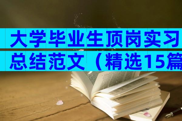 大学毕业生顶岗实习总结范文（精选15篇）